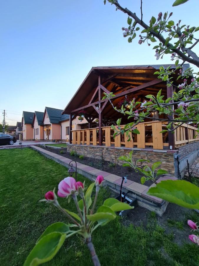 Maison d'hôtes Pensiunea Brazi Turda