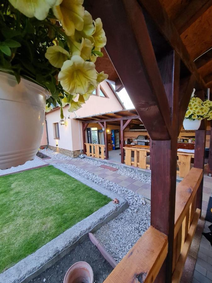 Pensiunea Brazi Maison d'hôtes
