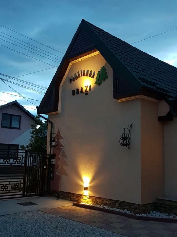 Pensiunea Brazi 招待所 2*