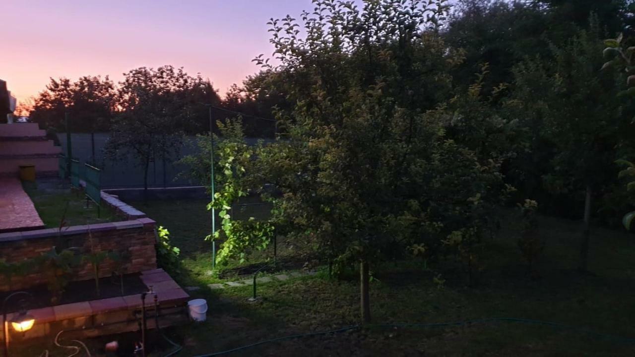 Pensiunea Brazi Maison d'hôtes 2*